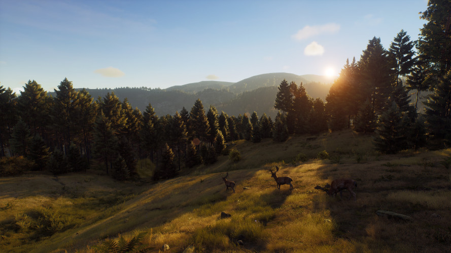 Way of the Hunter - Elite Edition, Steam Gift