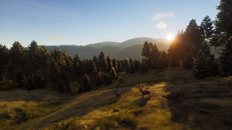 Way of the Hunter - Elite Edition, Steam Gift