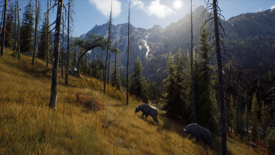 Way of the Hunter - Elite Edition, Steam Gift