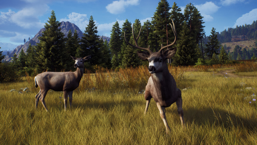 Way of the Hunter - Elite Edition, Steam Gift