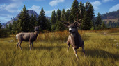 Way of the Hunter - Elite Edition, Steam Gift