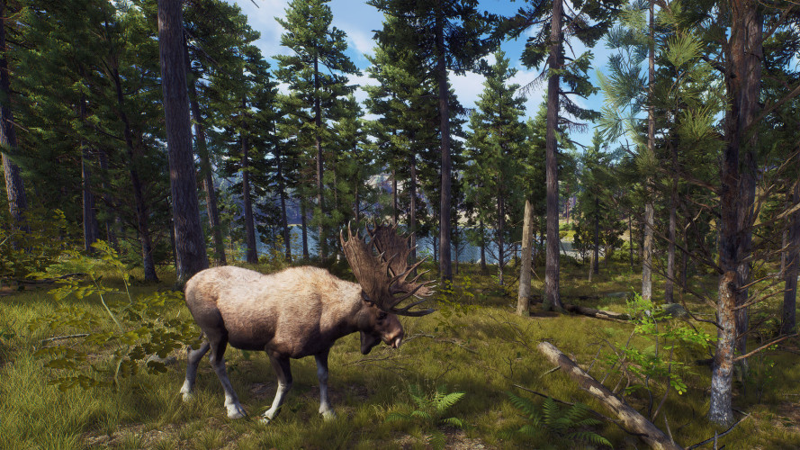 Way of the Hunter - Elite Edition, Steam Gift