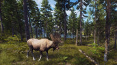 Way of the Hunter - Elite Edition, Steam Gift