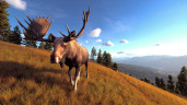 Way of the Hunter - Elite Edition, Steam Gift