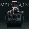 Игра MADiSON PC, Steam Gift регион Россия, РФ