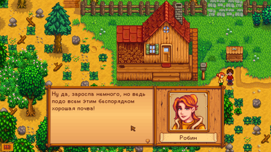 Stardew Valley, Steam Gift