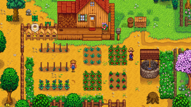 Stardew Valley, Steam Gift