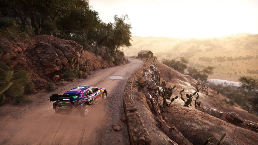 WRC Generations – The FIA WRC Official Game, Steam Gift