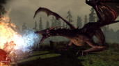 Dragon Age: Origins - Ultimate Edition, Steam Gift