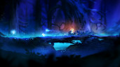 Ori and the Blind Forest: Definitive Edition, Steam Gift