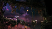 Ori and the Blind Forest: Definitive Edition, Steam Gift
