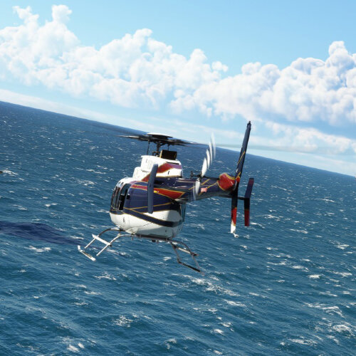 Microsoft Flight Simulator Standart 40th Anniversary Edition