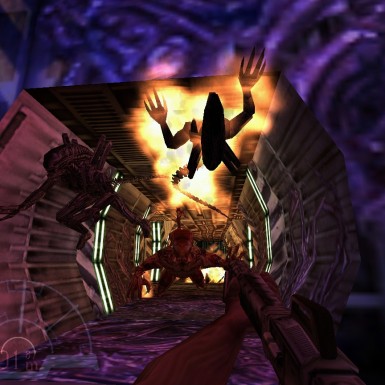 Игра Aliens versus Predator Classic 2000 PC, Steam Gift регион Россия, РФ