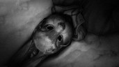 Tiny Bunny, Steam Gift