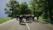 Pro Cycling Manager 26, Steam Gift