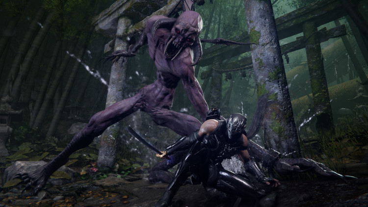 NINJA GAIDEN 4 - Deluxe Edition, Steam Gift