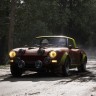 Игра Assetto Corsa Rally для PC / ПК, активация в стим Steam для региона РФ / Россия цифровой ключ