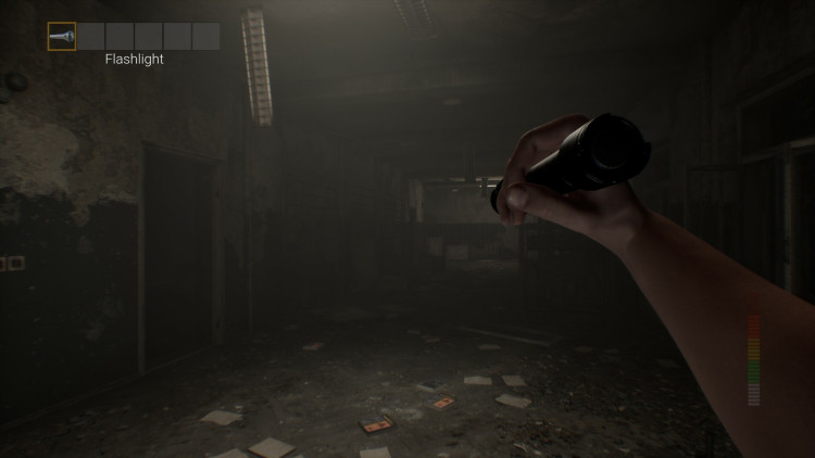 PANICORE, Steam Gift