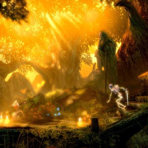 Игра Trine Trilogy PlayStation 4 и PlayStation 5