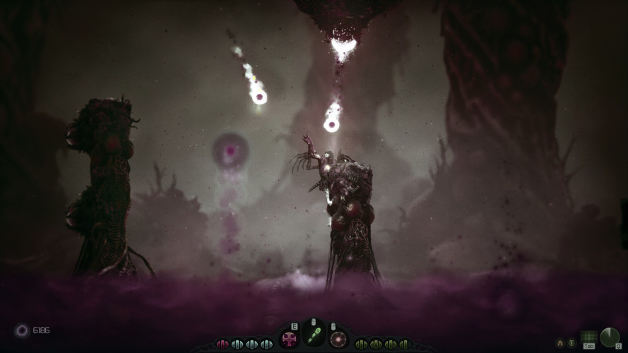 Moadra, Steam Gift