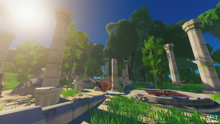 Salt 2: Shores of Gold, Steam Gift