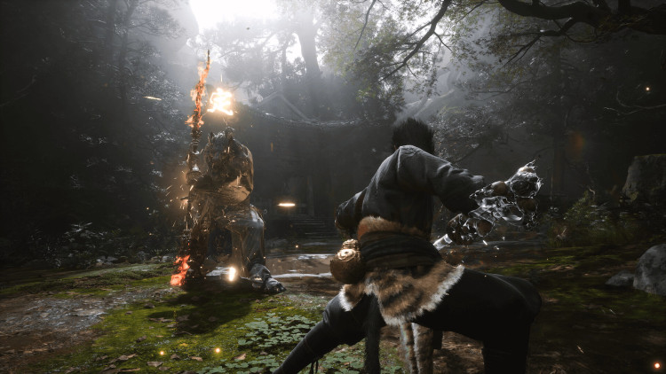Black Myth: Wukong, Steam Gift
