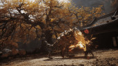 Black Myth: Wukong, Steam Gift