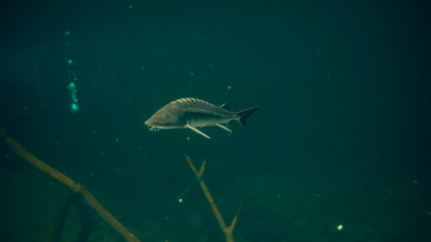 Ultimate Fishing Simulator 2, Steam Gift