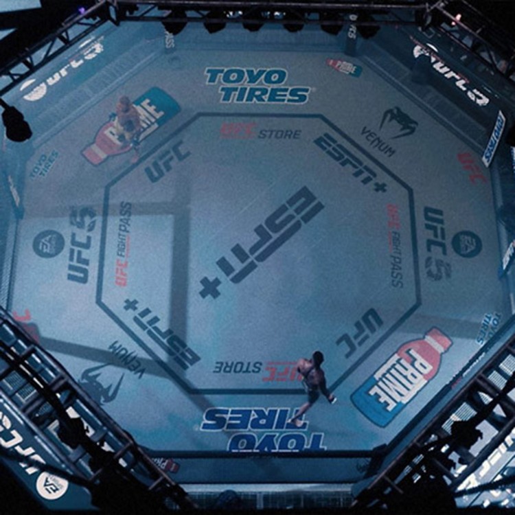 UFC 5 Deluxe Edition