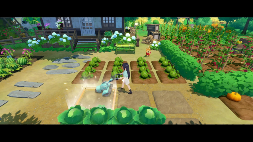 Starsand Island, Steam Gift