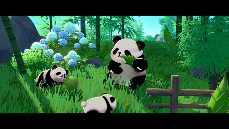 Starsand Island, Steam Gift