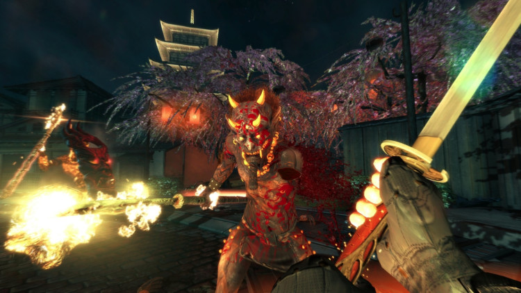 Shadow Warrior, Steam Gift