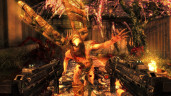 Shadow Warrior, Steam Gift