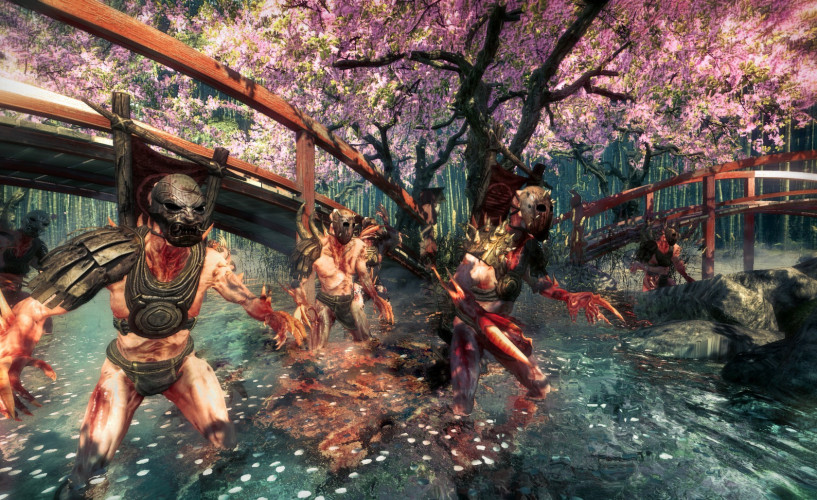 Shadow Warrior, Steam Gift