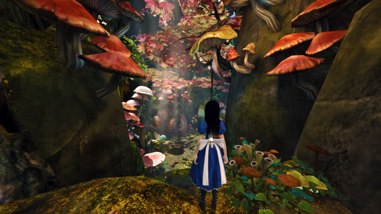 Alice: Madness Returns, Steam Gift