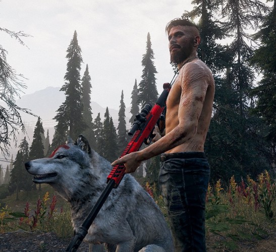 Far Cry 5 Gold Edition