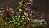 Ghost of a Tale, Steam Gift