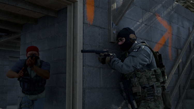 GROUND BRANCH, Steam Gift