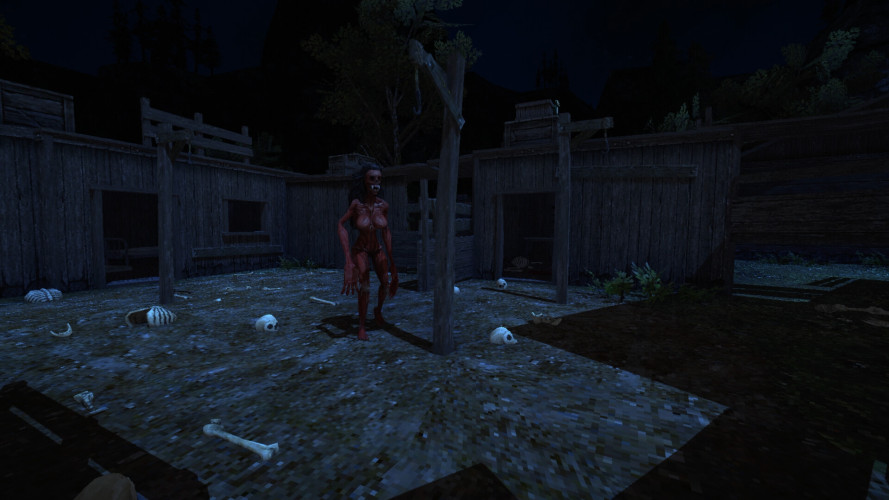 Blood West, Steam Gift