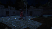 Blood West, Steam Gift