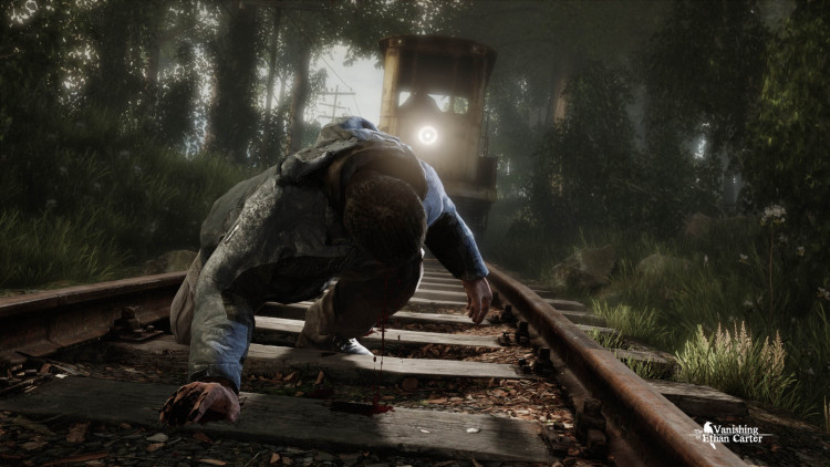 The Vanishing of Ethan Carter, Steam Gift
