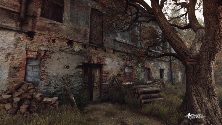 The Vanishing of Ethan Carter, Steam Gift