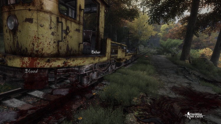 The Vanishing of Ethan Carter, Steam Gift