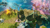 Nine Parchments, Steam Gift