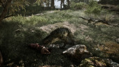 Gothic 1 Remake, Steam Gift