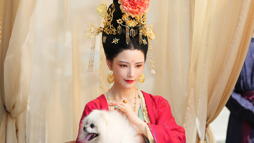 Road to Empress I, Steam Gift