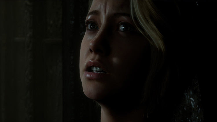 The Dark Pictures Anthology: Man of Medan, Steam Gift