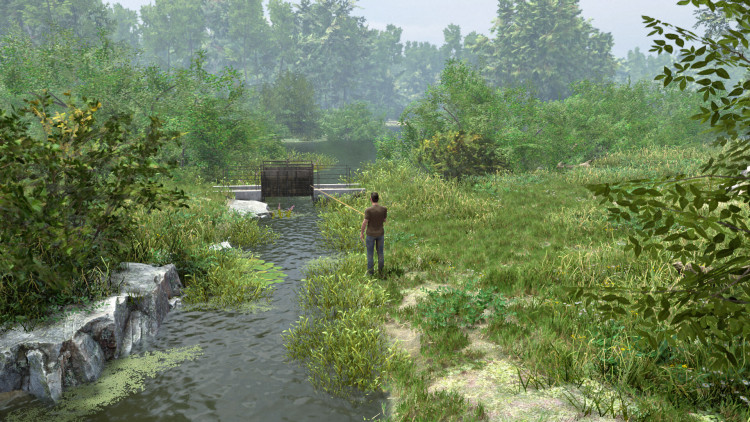 Professional Fishing 2, Steam Gift