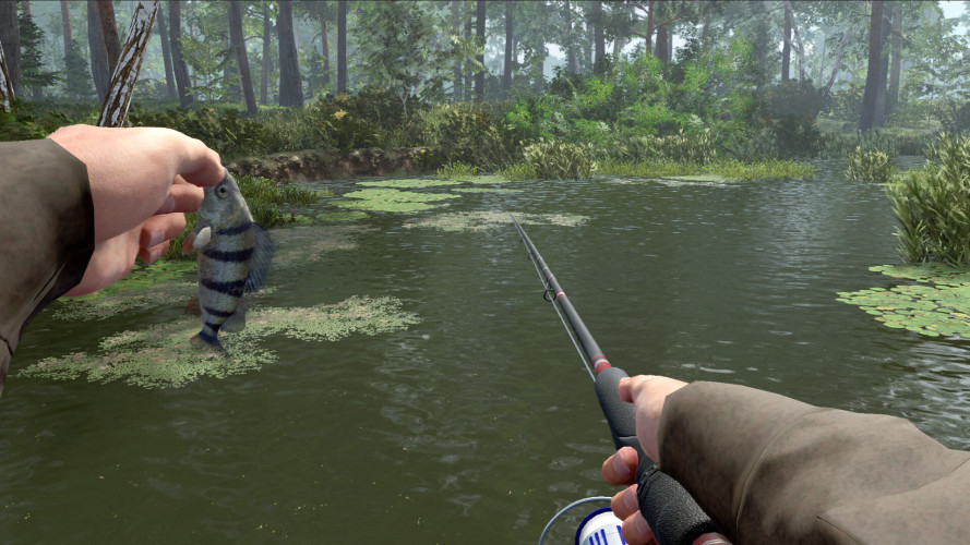 Professional Fishing 2