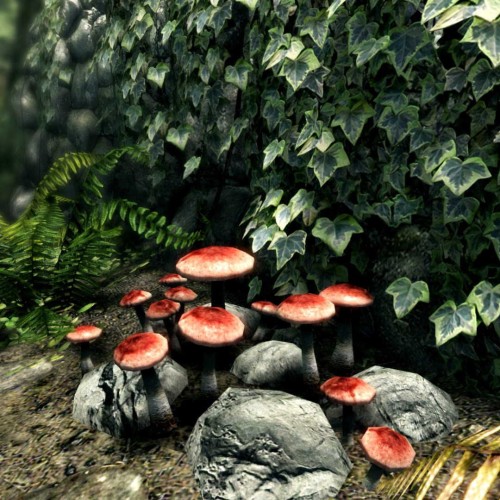 Игра The Elder Scrolls V: Skyrim – Special Edition для PC / ПК, активация в стим Steam для региона РФ / Россия цифровой ключ